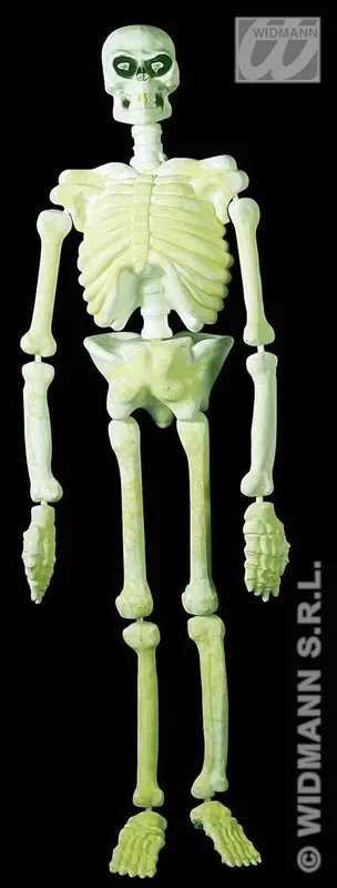 3d Plastic Laboratorium Skelet 150 Centimeter