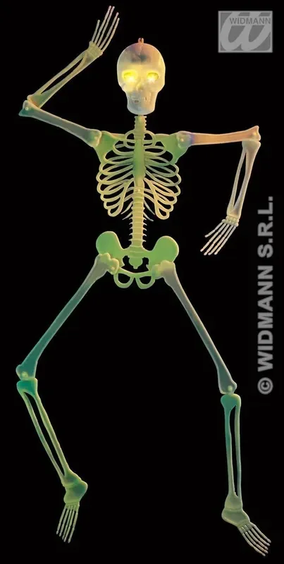 3d Skelet Decoratie Met Knipperende Ogen