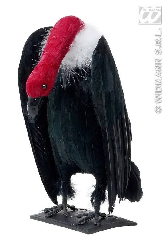 Aasgier Met Lange Nek 26cm