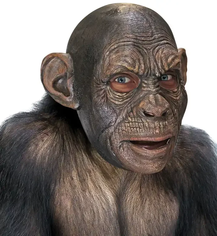 Affen Masken Schimpansen