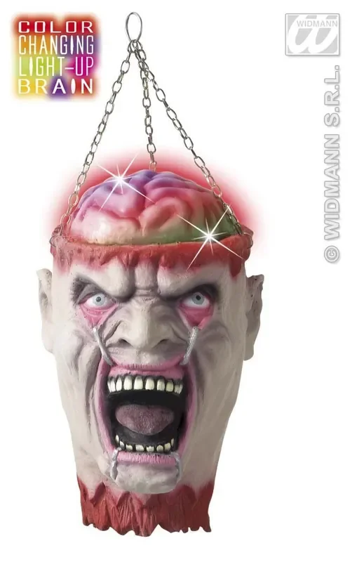 Afgehakt Hoofd Met Lichtgevende Hersenen