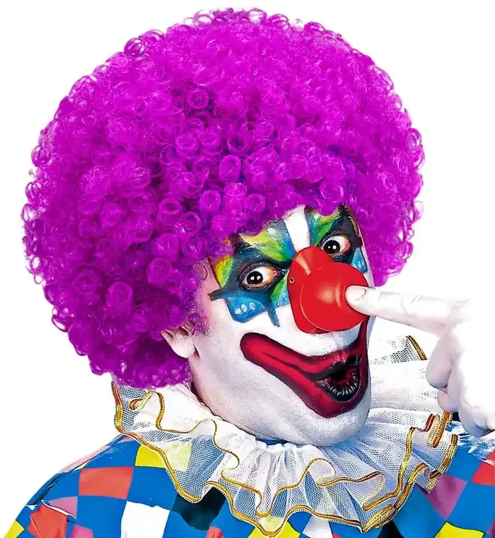 Afro Clown Perücken Locken, Lila