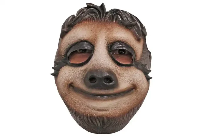 Maskenfaultier Tropischer Regenwald