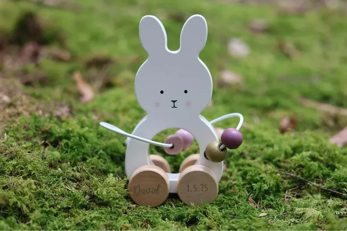 Schiebespielzeug Hase personalisiert