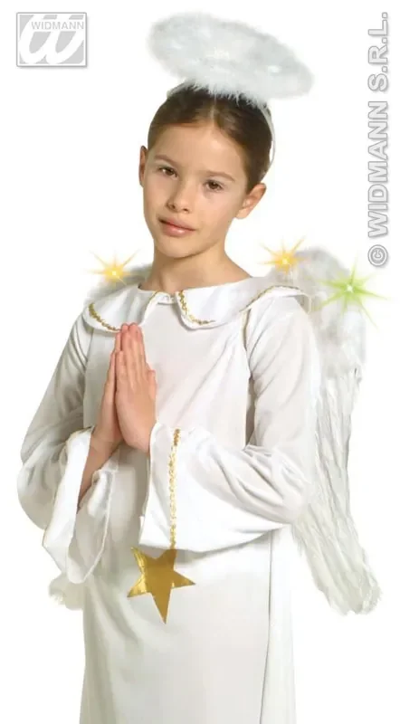 Veren Vleugel Met Licht